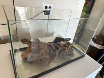 Aquarium or terrarium