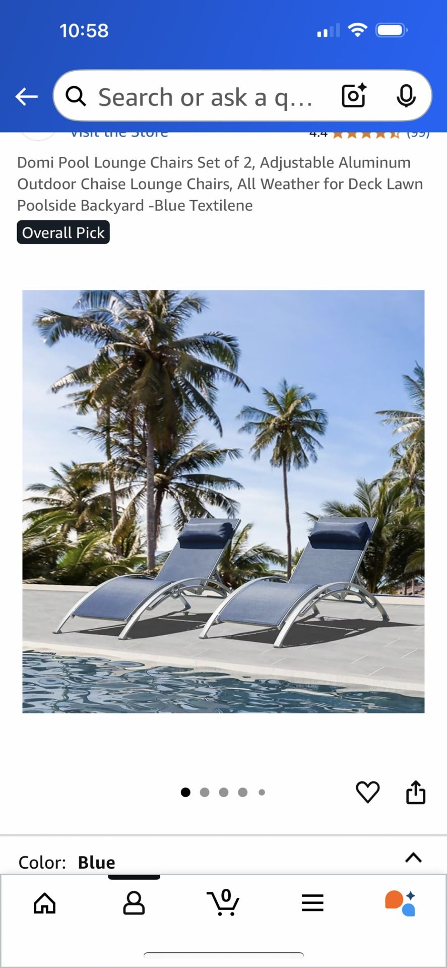 Pool Lounge Chairs