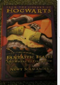 Fantastic beasts where to find them, quidditch, Harry Potter series
