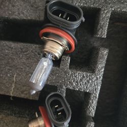 2017 Honda Accord OEM Low Beam Bulbs