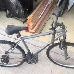 Adults Bike