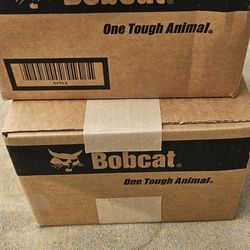 2, Bobcat Lights