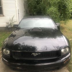 2008 Ford Mustang