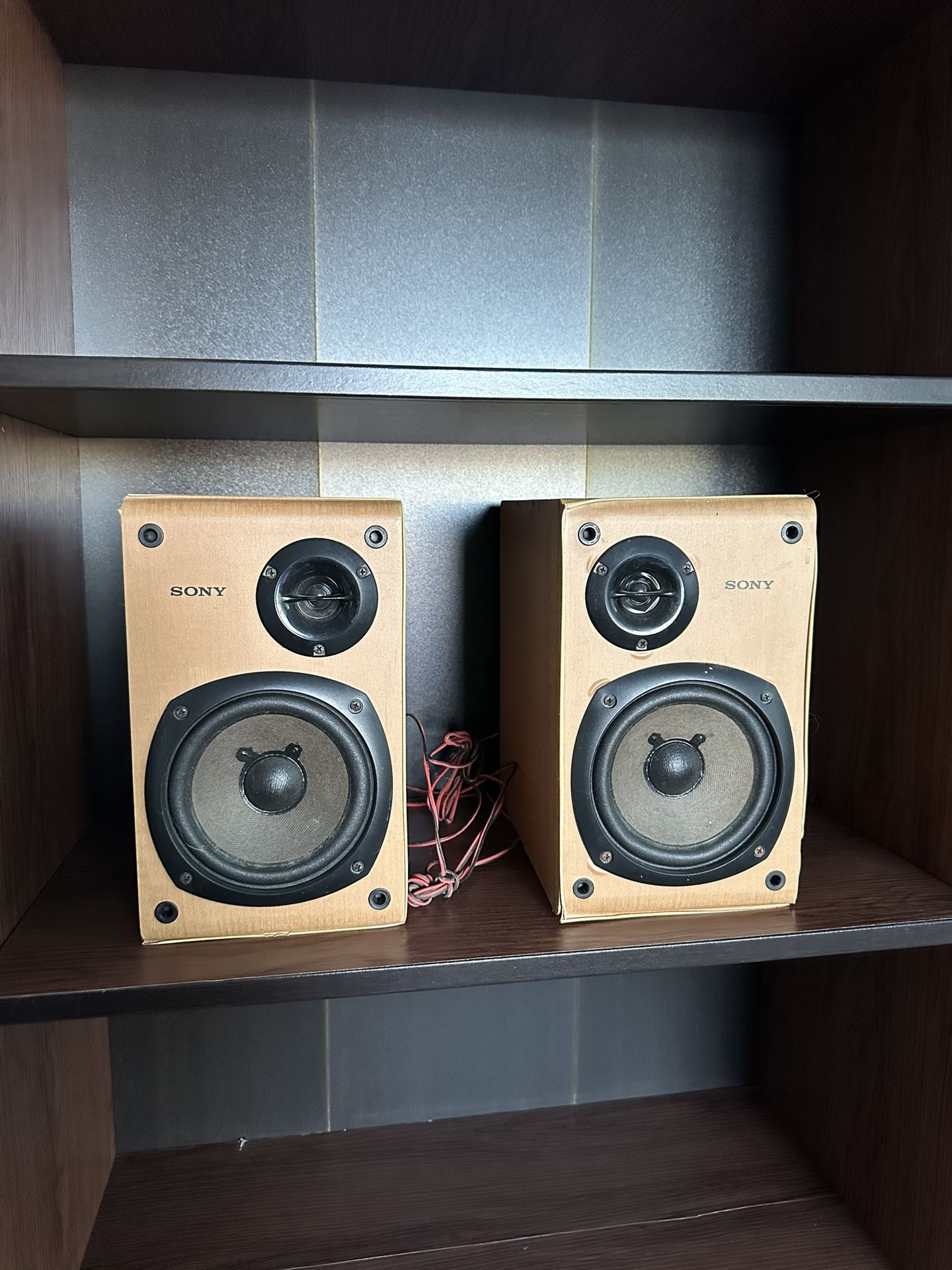 Sony SS-CCP1 Speaker