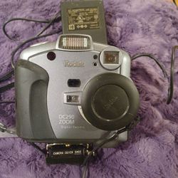 Kodak DC290 Zoom Digital Camera 