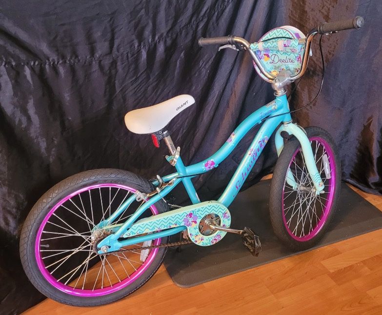 20 Inches Schwin Bike