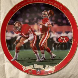 Joe Montana super bowll XXXIII collectible plate from the Bradford Exchange