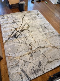 Area Rug $50 OBO