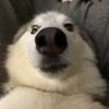 Ben