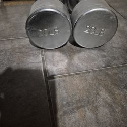 20lbs Dumbells Weights