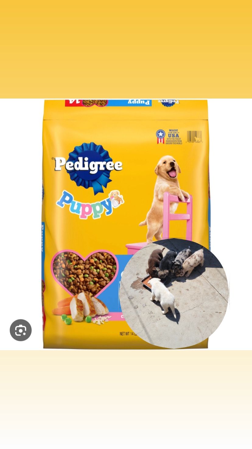 Dog Food