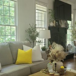 Light Gray Sofa 