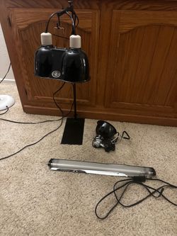 Reptile lights and outlets timer