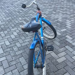 Mintcraft bicycle beach sale