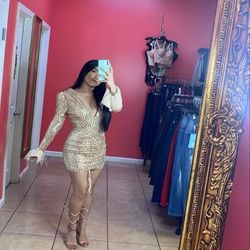 Beautiful Sequins Dress