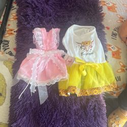 Dog Clothes 