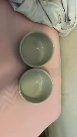 Cat bowls