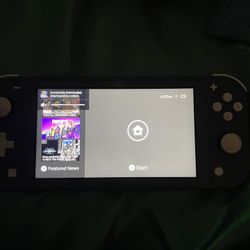 2 Nintendo Switch lite Systems And More