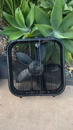 Fan
