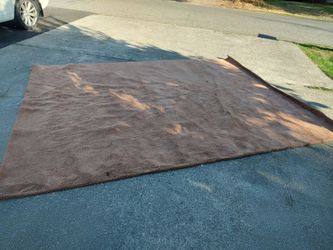Carpet 9 x11