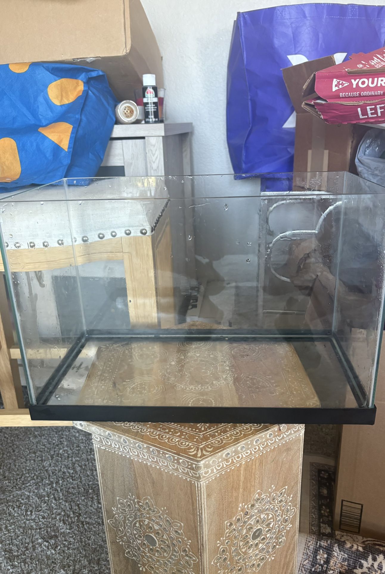 5 Gallon Edgeless Tank W/ Air Pump, New Water Siphon And More