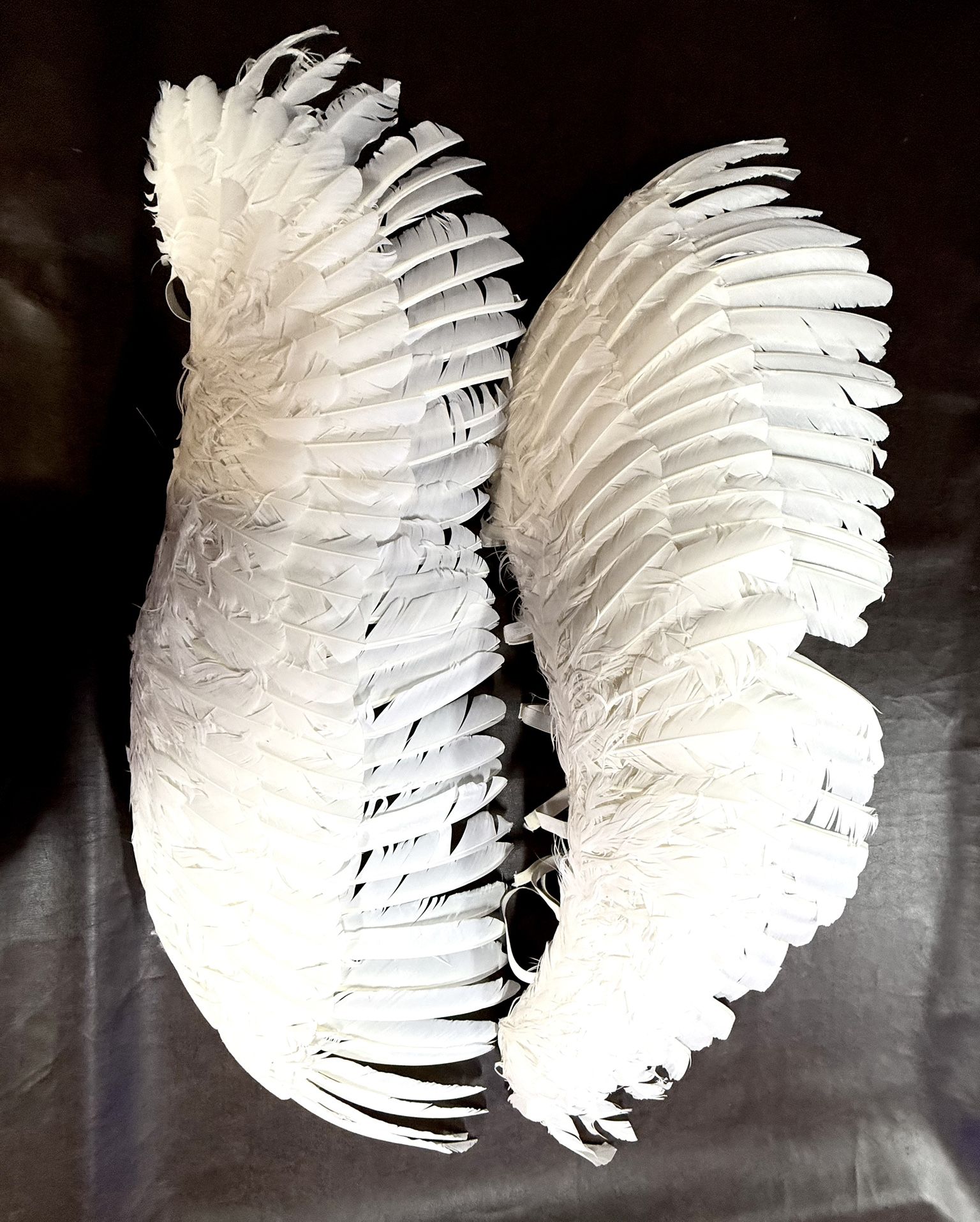 Angle Wings -Wearable or Decorative