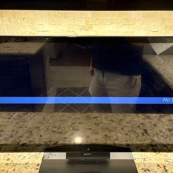 Sony PlayStation 3D 24" Display LED LCD Monitor CECH-ZED1U PS3 Gaming 240hz
