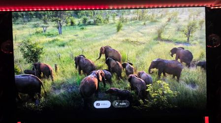 TCL  QD-Mini Led Tv 85" QM6K  (2025)