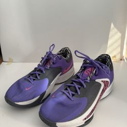 Nike Giannis Zoom freak 4