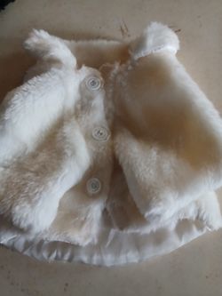 New puppy dog White fur coat