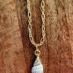 14K Gold Edged Conch Shell Necklace