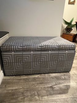Spacious Storage trunk/bench