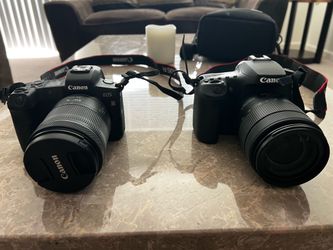 Canon EOS 90D and EOS R 850