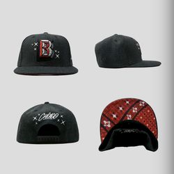 Chicago bulls artist hat series 2022-2023 hat #6