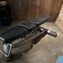 Life Fitness Adjustable Workout Bench 