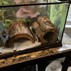 Reptile Tank 