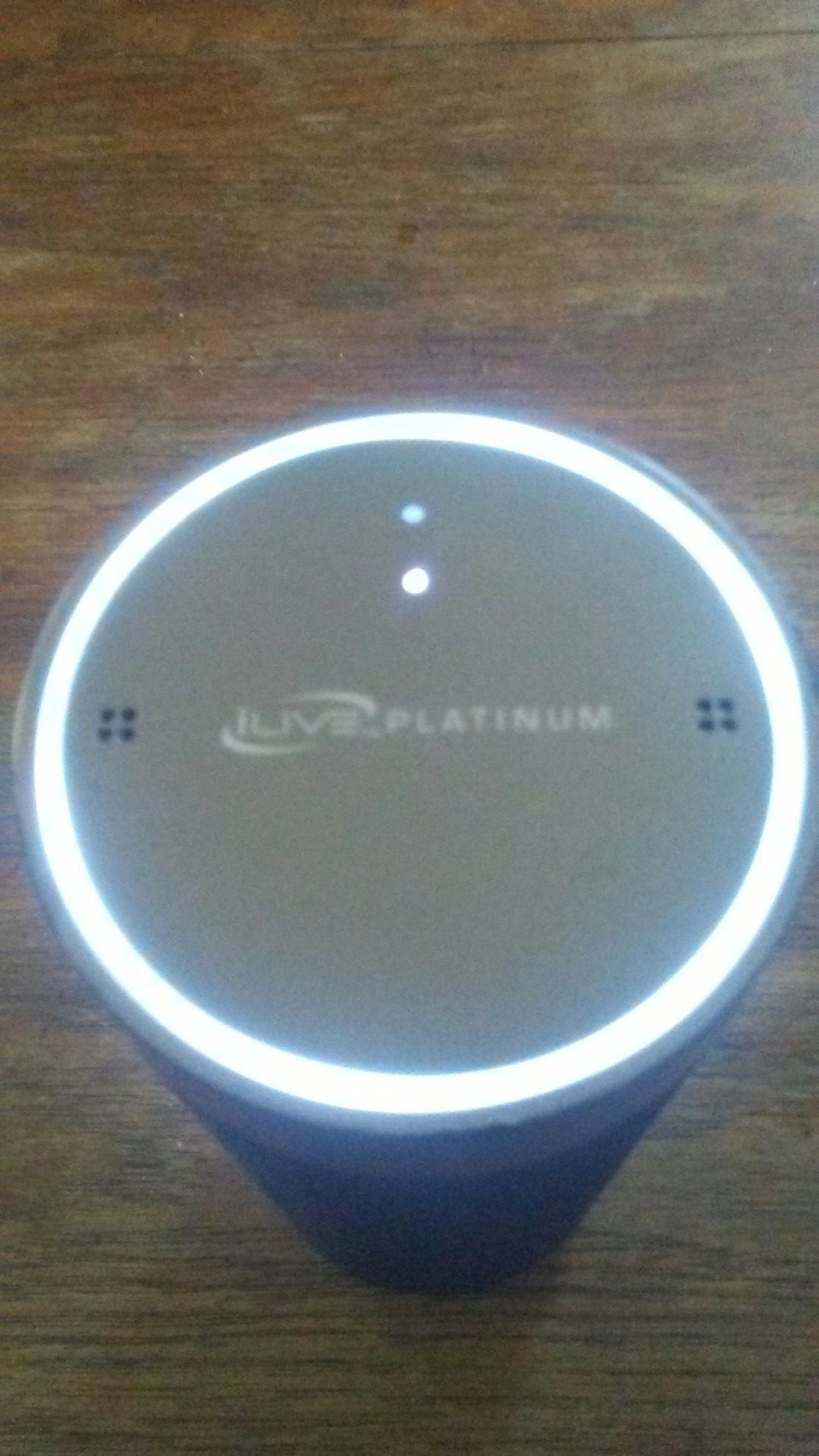 Portable speaker