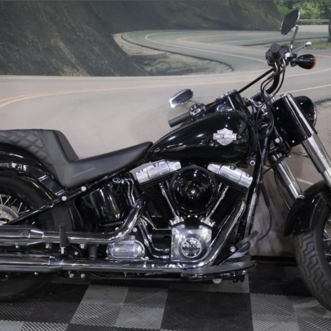 2015 Harley Davidson FLS - Softail Slim