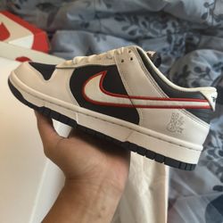 Nike Dunk Comets Size 8