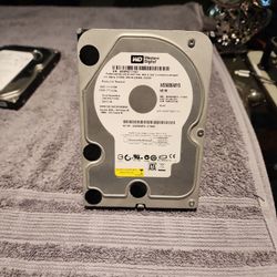 WESTERN DIGITAL 500GB