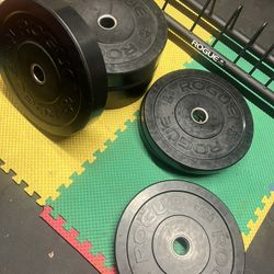 Rogue Olympic Bumper Plates With Mobil Storage Rack