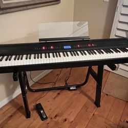 Electronic Organ Roland FP-80