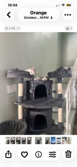 Cat Tree - $50