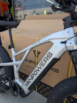 Electric mountain bike