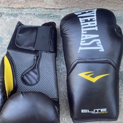 Boxing Gloves Everlast 