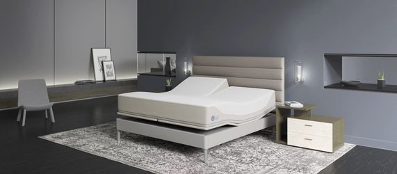 SLEEPNUMBER Queen Dual ILE 360 Smart Bed
+ 360 FlexFit 3