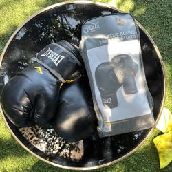 Classic Boxing Training Gloves From Everlast 