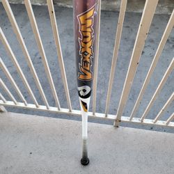 Baseball Bat 34