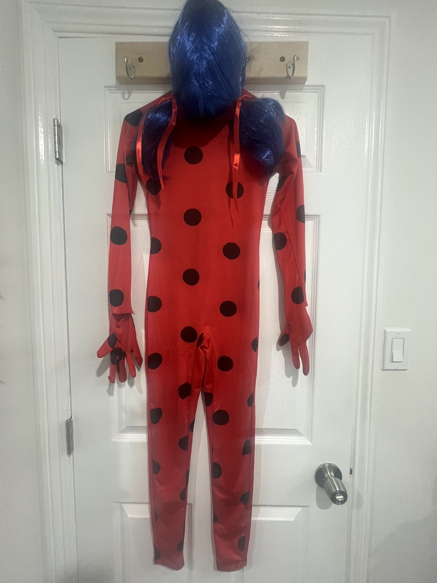Lady Bug Costume
