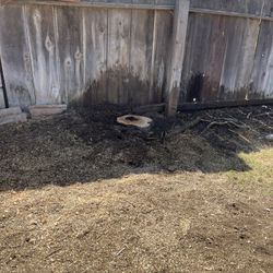 Stump Grinding
